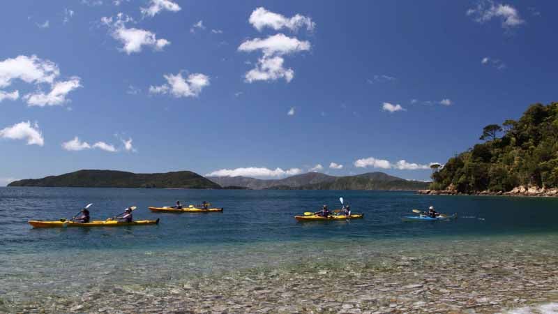 Experience the stunning Queen Charlotte Sound with a full day guided kayak tour. With a vast network of beautiful waterways and coastline to explore, the Queen Charlotte Sound is ranked as one of the top sea kayaking destinations in New Zealand.